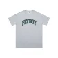 Light Heather Gray