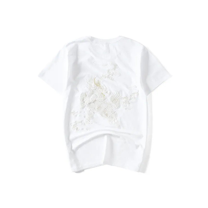 PIERRE CARDIN T Shirts Men-0