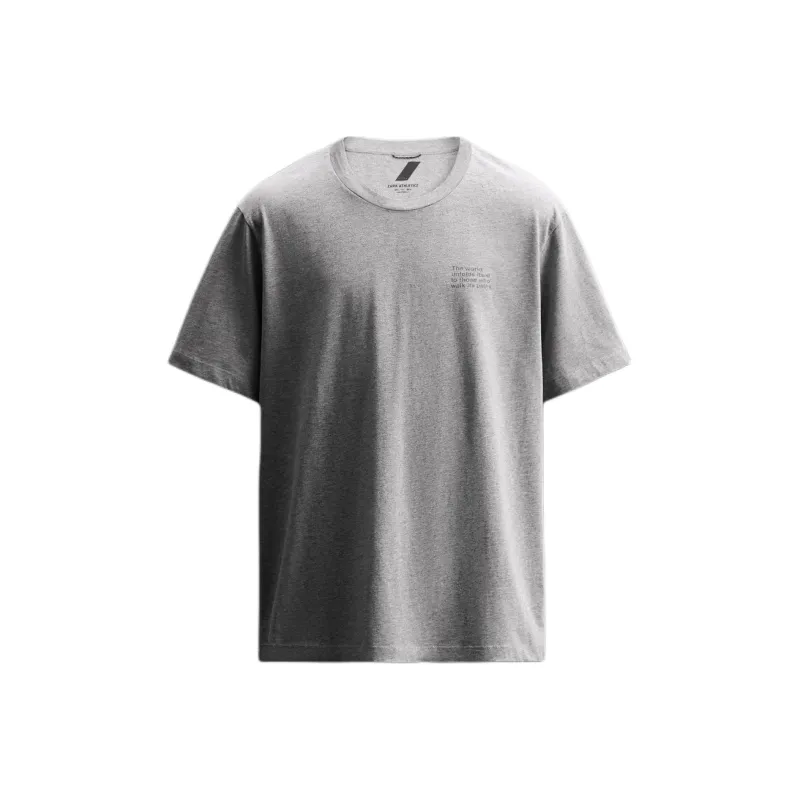 ZARA T Shirt Men's Zebra Print Gray-0