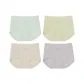 [4 Pack]Green+Yellow Green+Apricot+Gray Purple