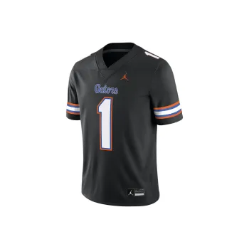 JORDAN Florida Gators Men's Nike Dri FIT College Game Jersey