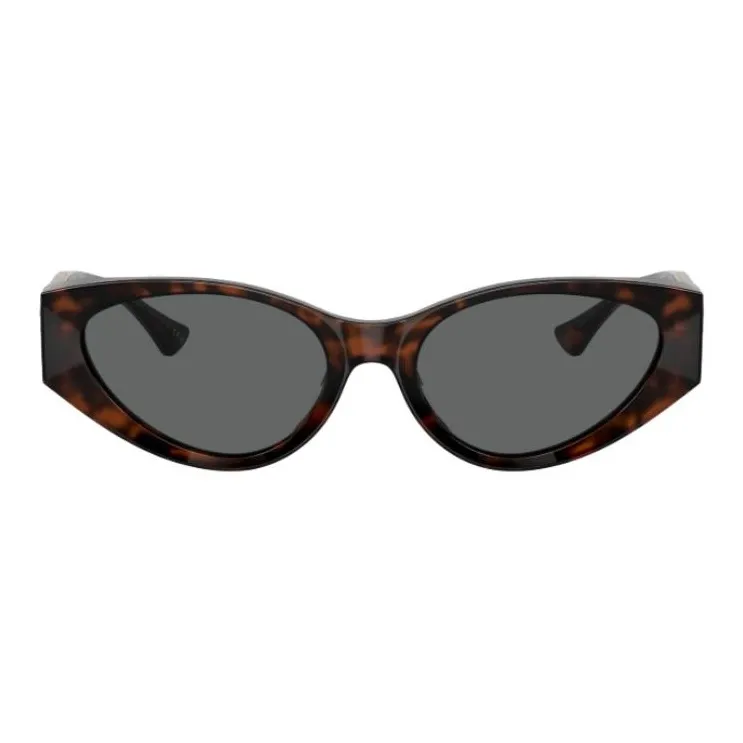 VERSACE Eyewear Havana Oval frame Sunglasses-1