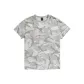 Cool Gray