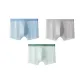 Light Gray/Light Blue/Light Green 9362 (Mint Cooling)