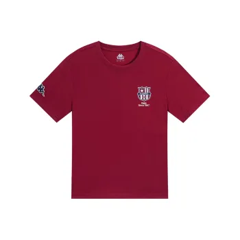 Kappa 1916 Series T Shirt Men's Multicolor