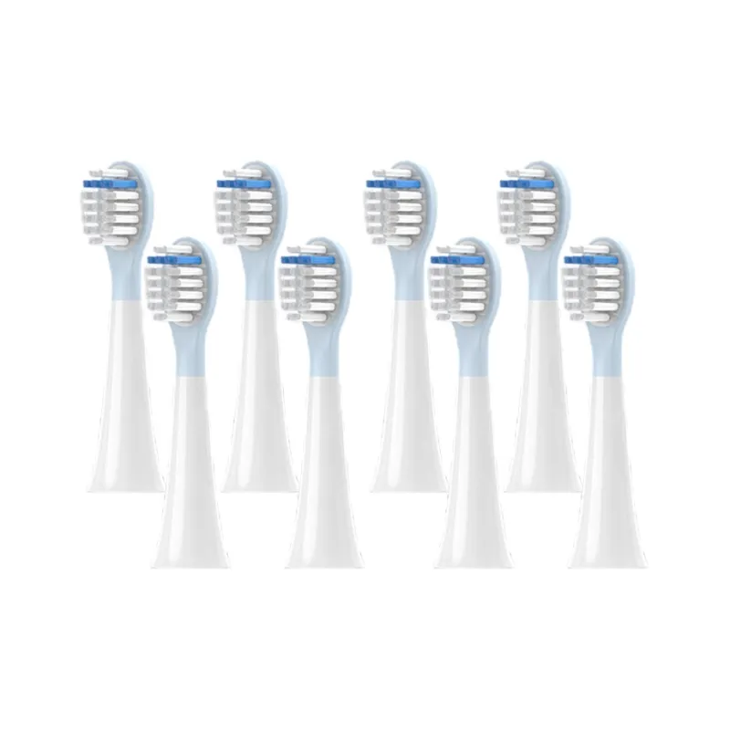 Fly Toothbrush Heads-3