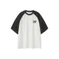 White & Iron Gray