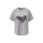 Dove Gray
