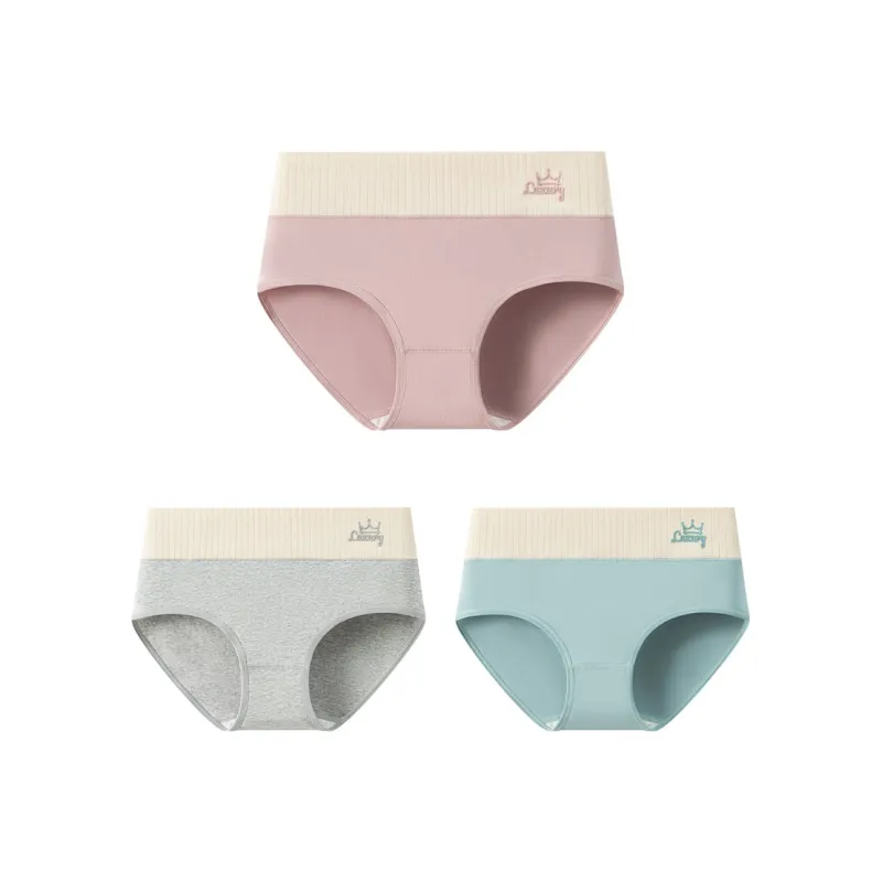 XISHE Underpants Women's Combo Set-8