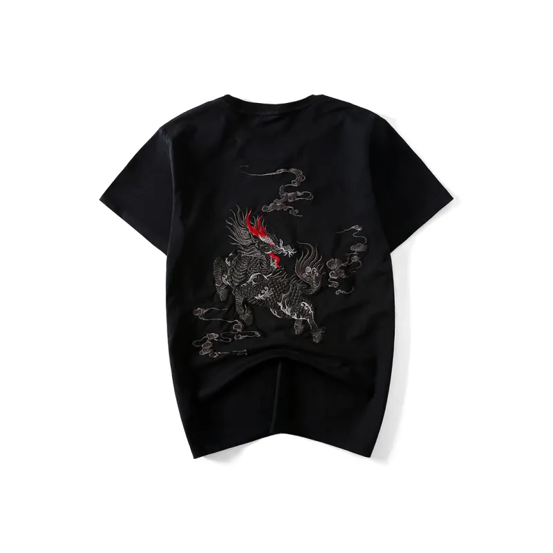 PIERRE CARDIN T Shirts Men-1
