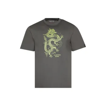 Napapijri T-Shirts Men Gray