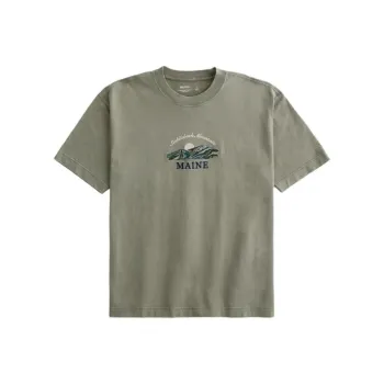 Hollister T-Shirt Men's Washable Olive Green