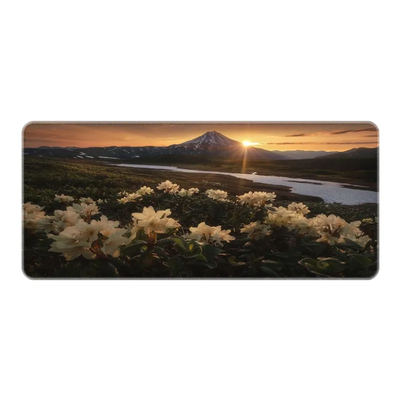 Directions Mouse Pads-5