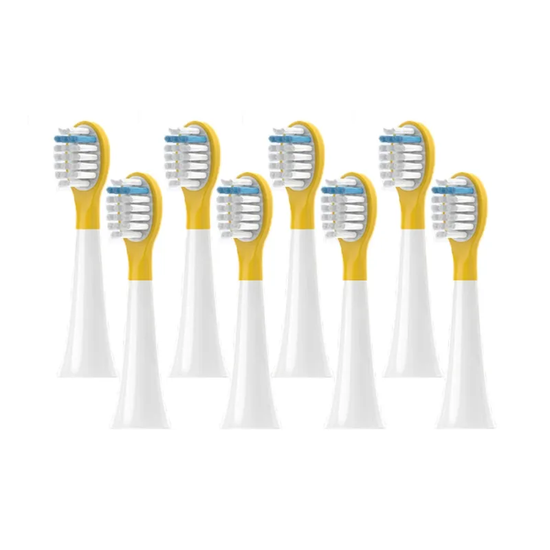 Fly Toothbrush Heads-1