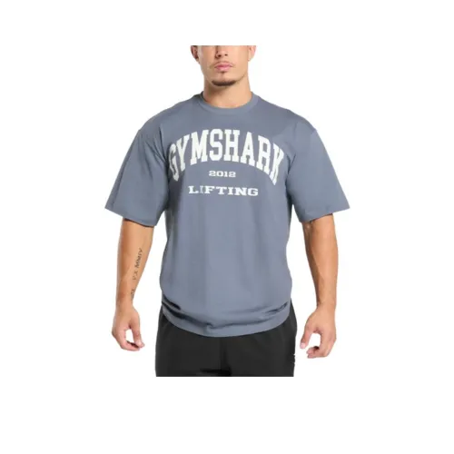 GYMSHARK FW24 T Shirt Men's Iron Blue