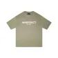 Cyan Gray Green