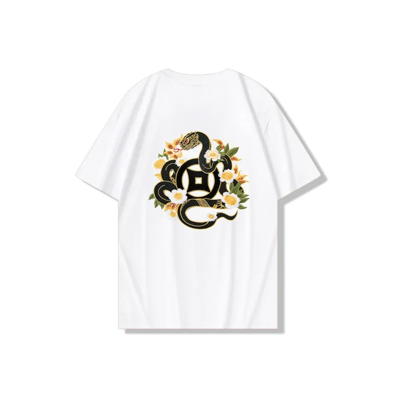 PIERRE CARDIN T Shirts Men-2