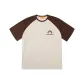 Apricot Coffee Multicolor