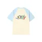 Apricot & Sky Blue