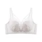 Ivory White