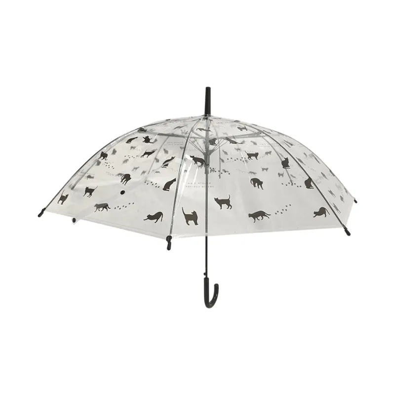 Pleasant language Umbrellas-12