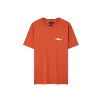 Tommy Hilfiger T Shirts Men