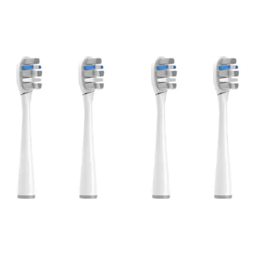 Fly Toothbrush Heads