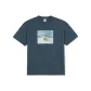 Blue Gray