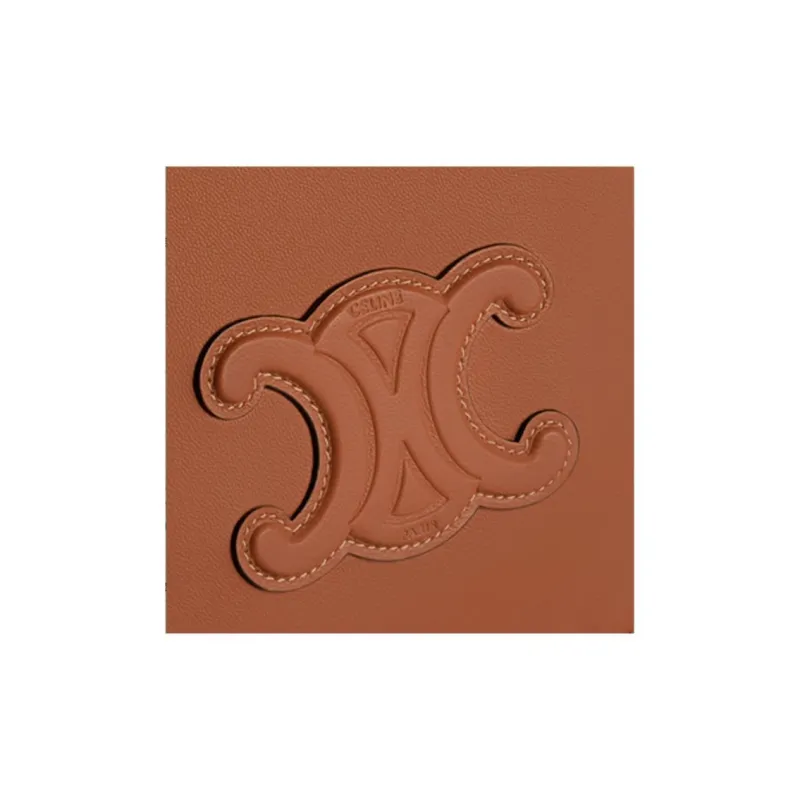 CELINE Triomphe Clutches-4