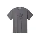 Downpour Gray