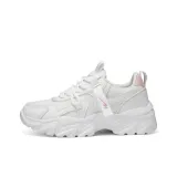 White Pink
