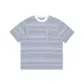 Colorful Blue Gray