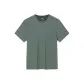Salt Green