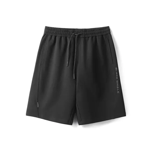 HLA JEANS Casual Shorts Men's Black 02