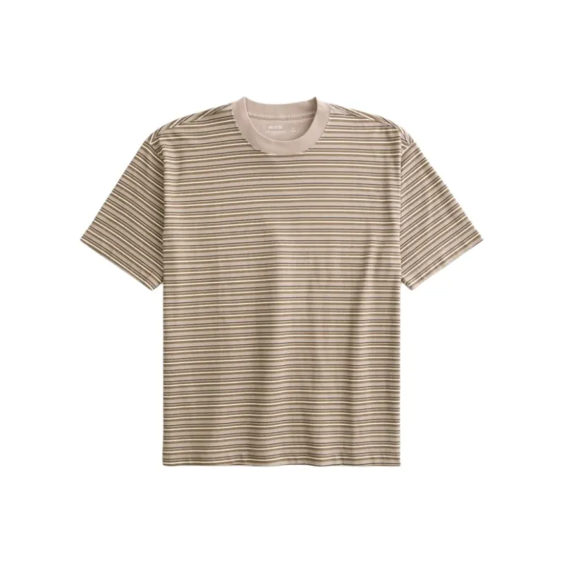 Hollister T-Shirt Men's Brown Stripes-0
