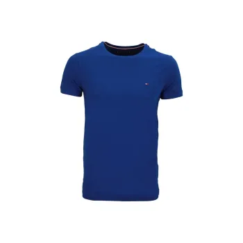 Tommy Hilfiger T Shirt Men's Blue