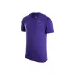 Purple/Cool Gray