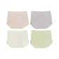 [4 Pack]Lotus Root Powders+Gray Purple+Light Skin+Yellow Green