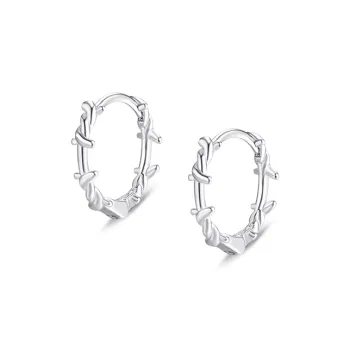 ETAHLOVE S925 Silver Earrings Unisex