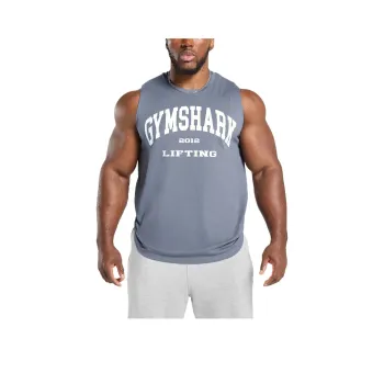 GYMSHARK FW24 T Shirt Men's Iron Blue