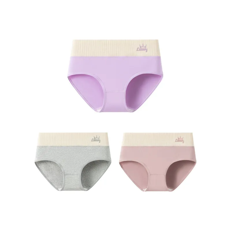 XISHE Underpants Women's Combo Set-4