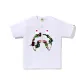 White Green WHM