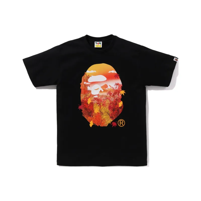 Bape Japan Autumn Photo Ape Head Tee-0