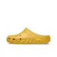 Amber Yellow