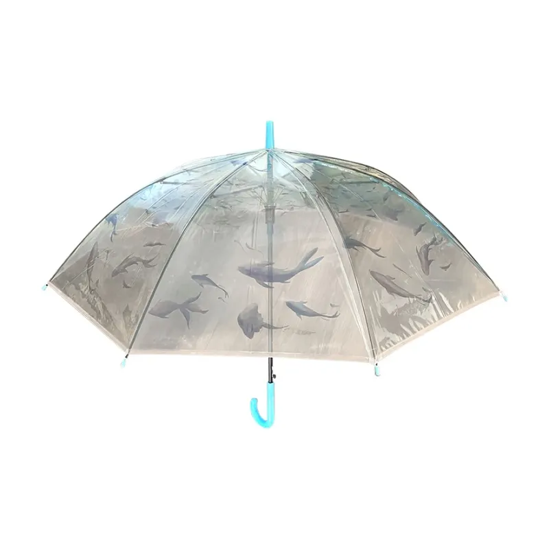 Pleasant language Umbrellas-9