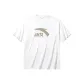 Ivory White