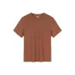 Cinnabar Chestnut