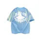 Arctic Ice Blue
