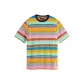 Multicolor Stripes