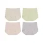[4 Pack]Apricot+Yellow Green+Lotus Root Powder+Gray Purple